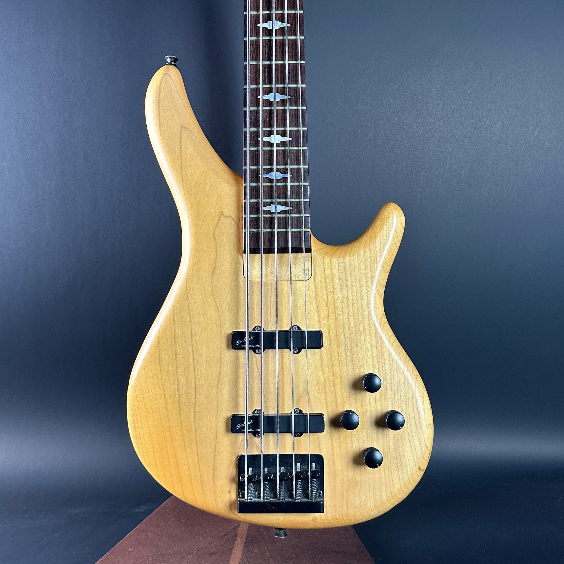 Front of Used 1992 Ibanez GT Series 5-String Bass.