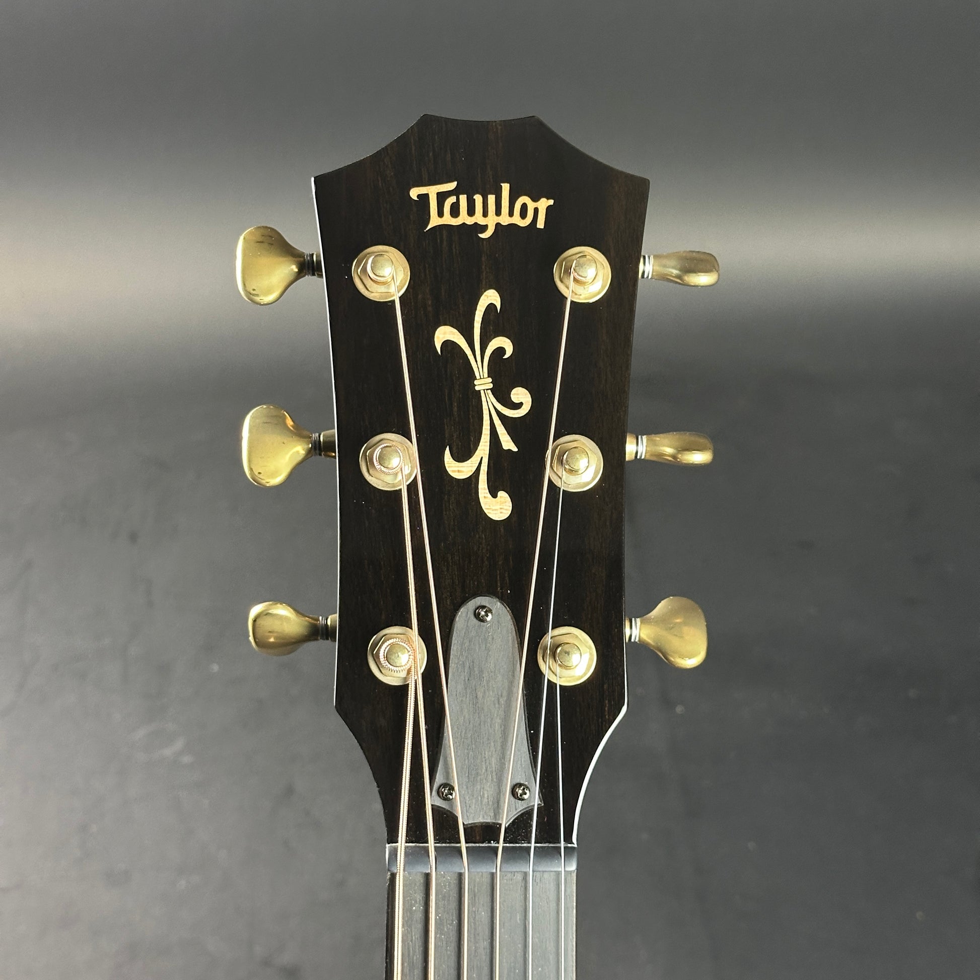 Headstock of Used Taylor Cystom C18e B3001 Grand Orchestra Mahogany/Sitka Custom #1.