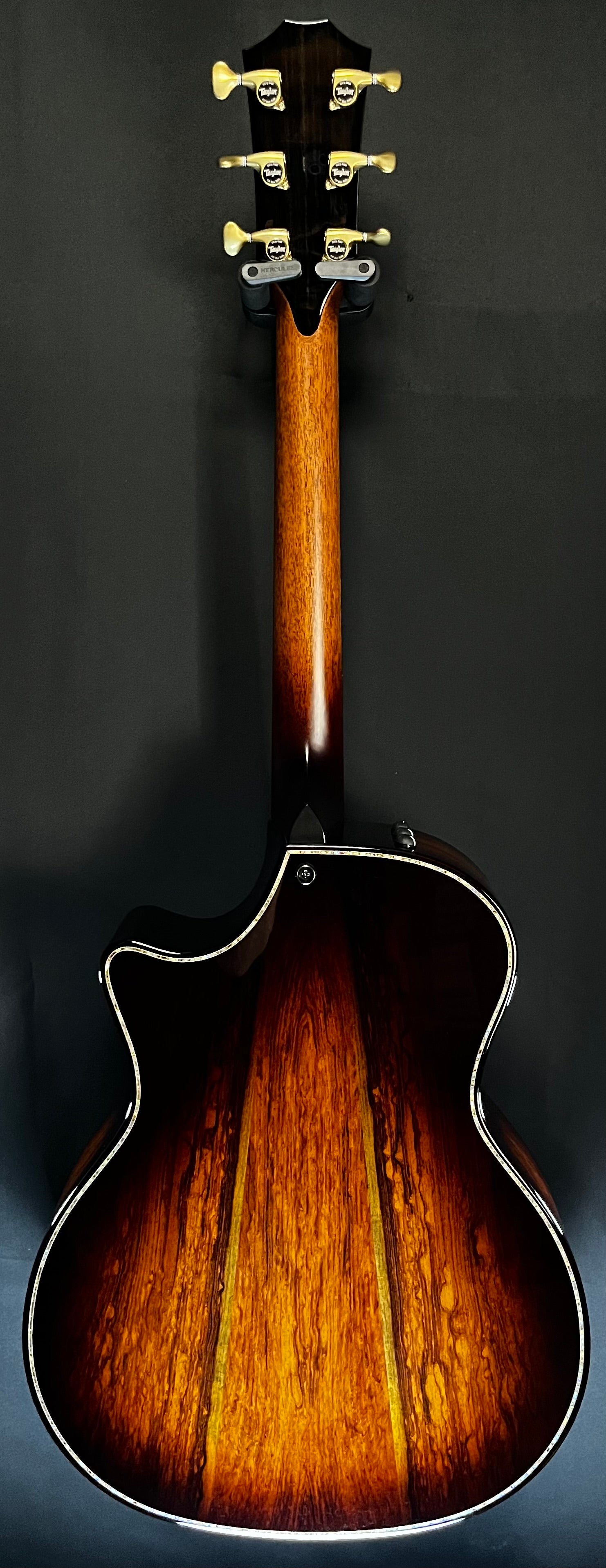 Full Back of Used 2023 Taylor 914CE Builder's Edition Sinker Redwood / Honduran w/Case MINT TFW166