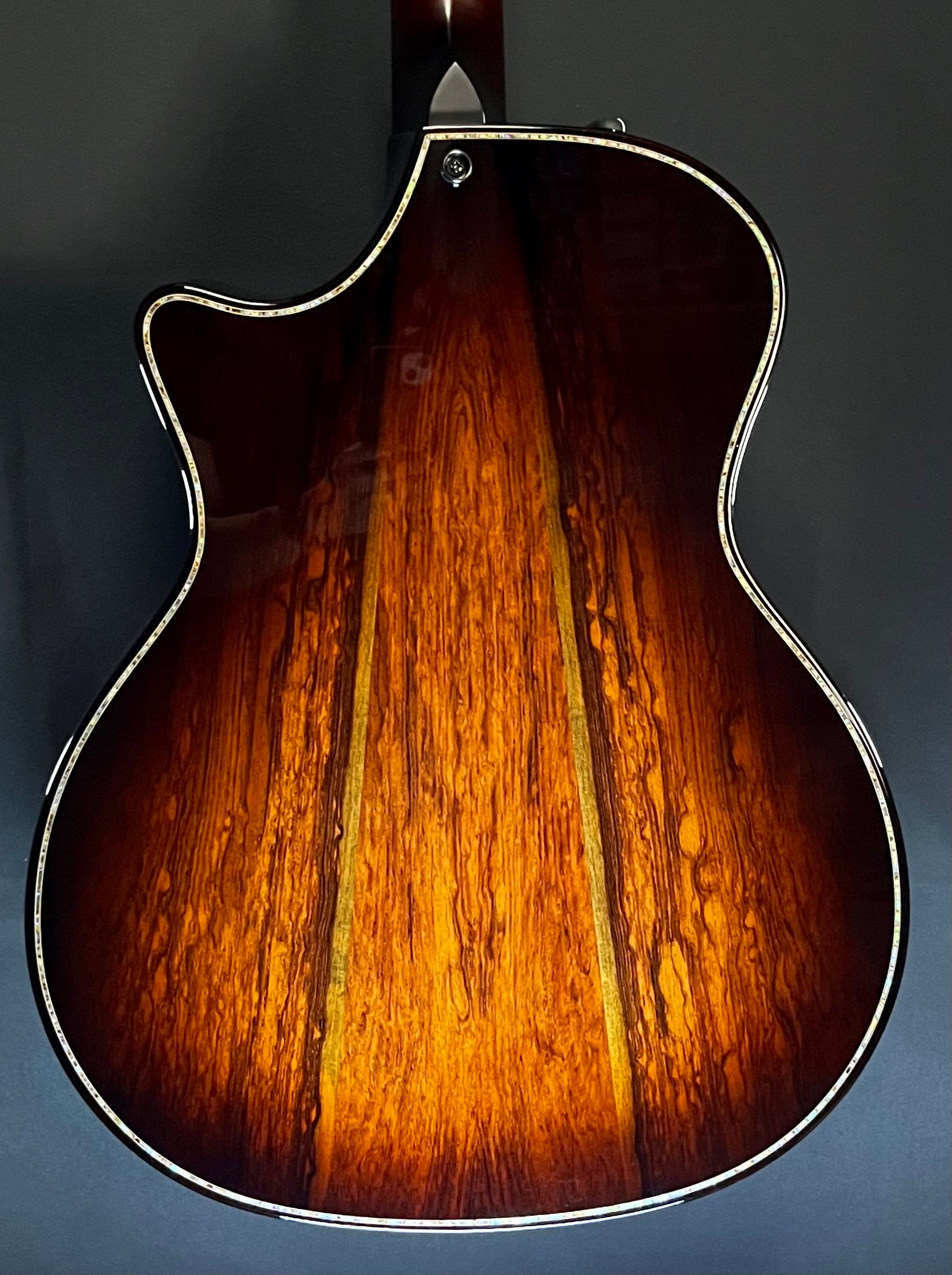 Back of Used 2023 Taylor 914CE Builder's Edition Sinker Redwood / Honduran w/Case MINT TFW166