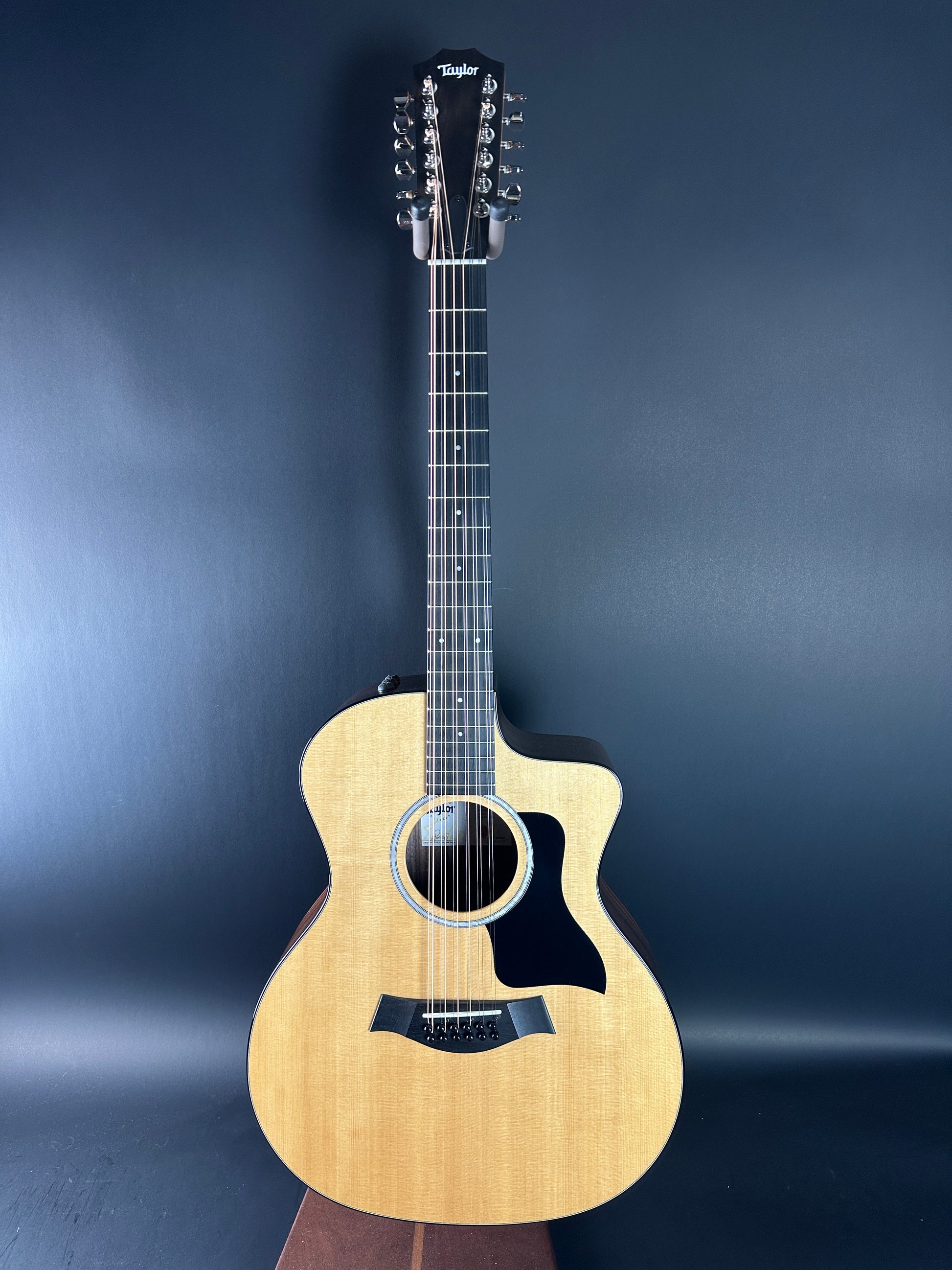 Full front of Used Taylor 254ce Plus.