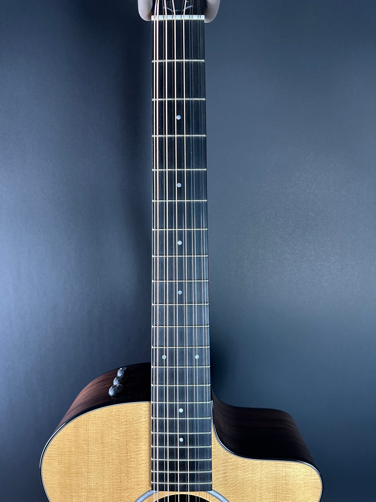 Fretboard of Used Taylor 254ce Plus.