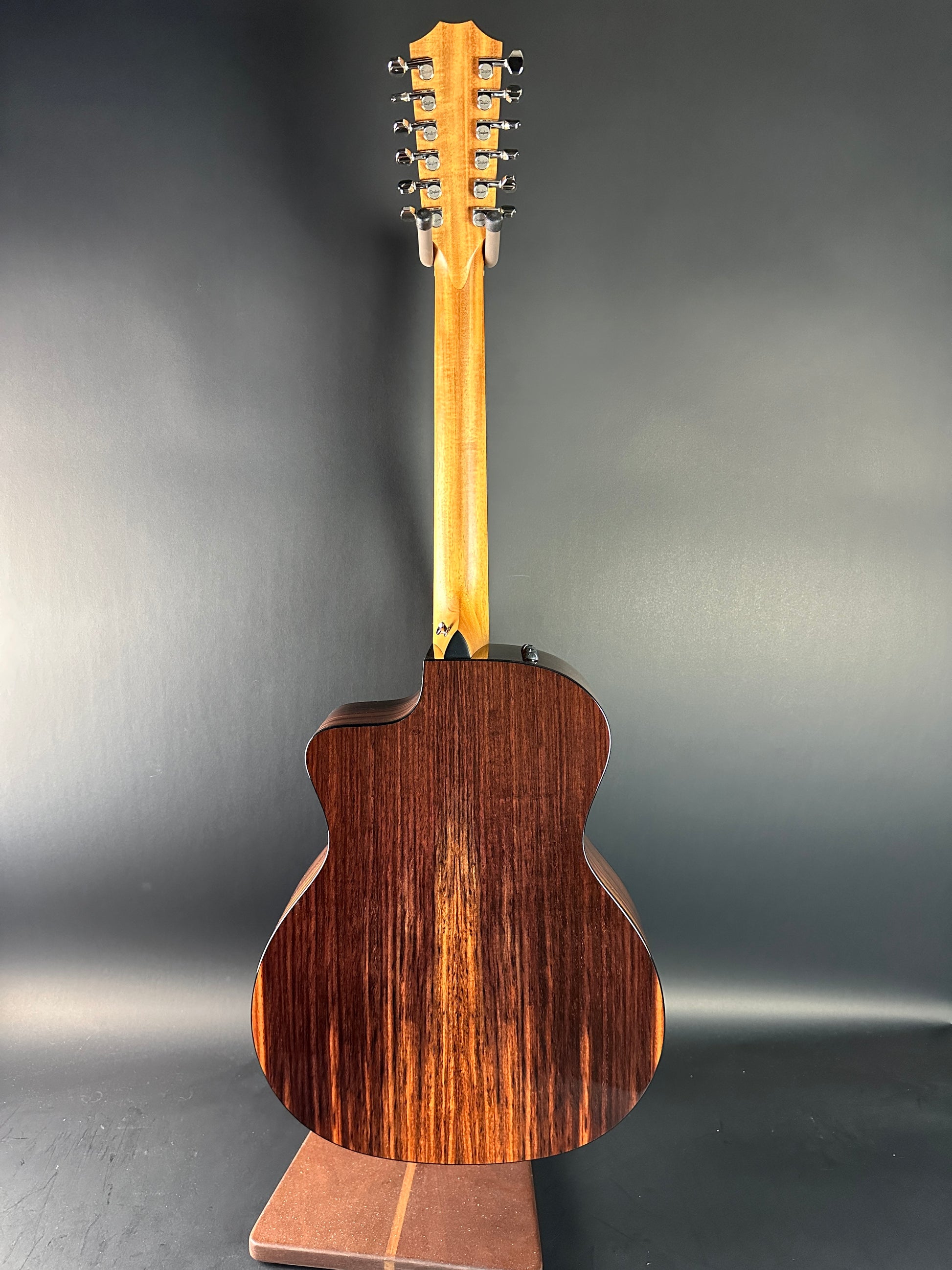 Full back of Used Taylor 254ce Plus.