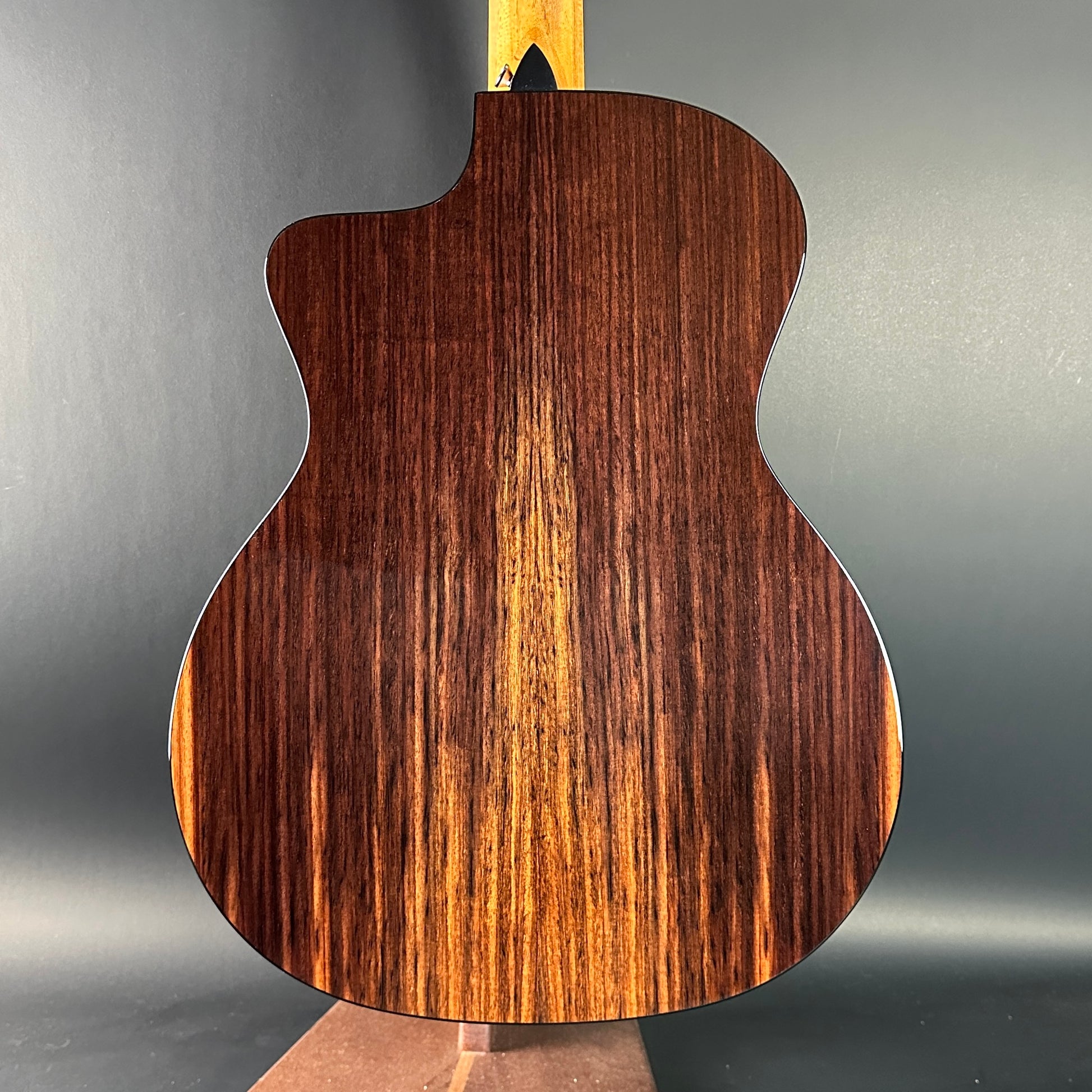 Back of Used Taylor 254ce Plus.