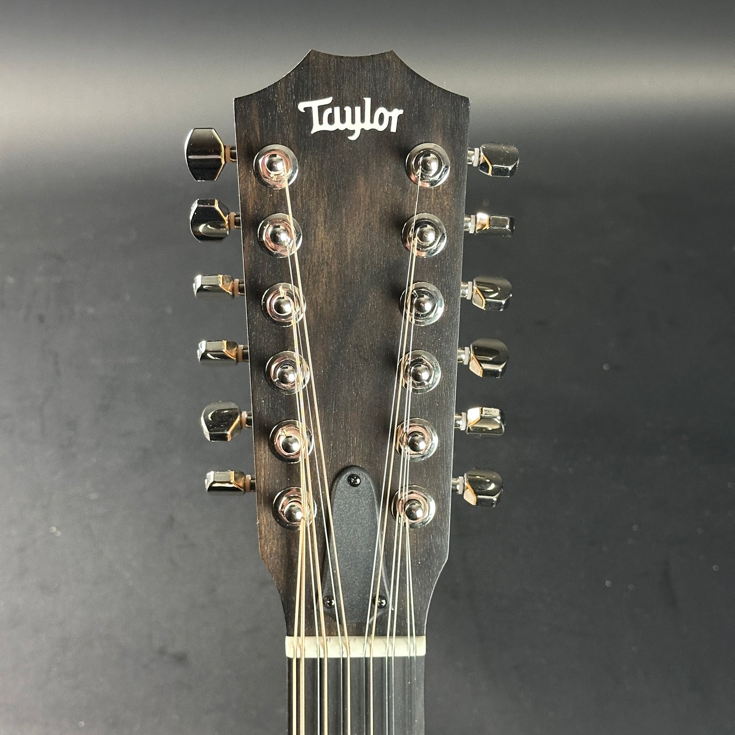 Headstock of Used Taylor 254ce Plus.