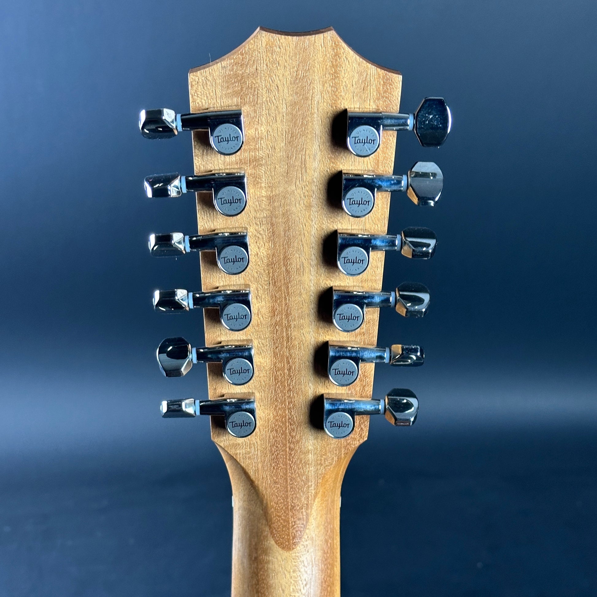 Back of headstock of Used Taylor 254ce Plus.