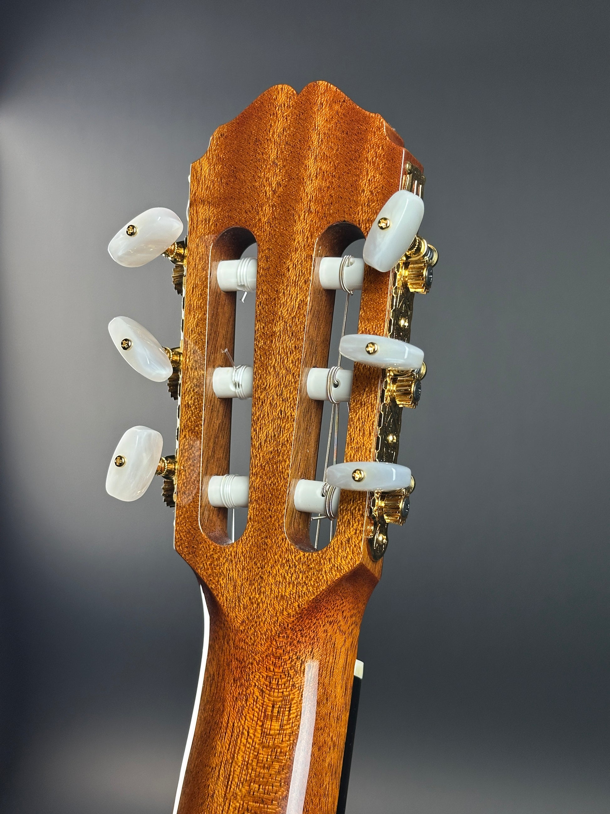 Back of headstock of Used Takamine H8SS hirade Classical.