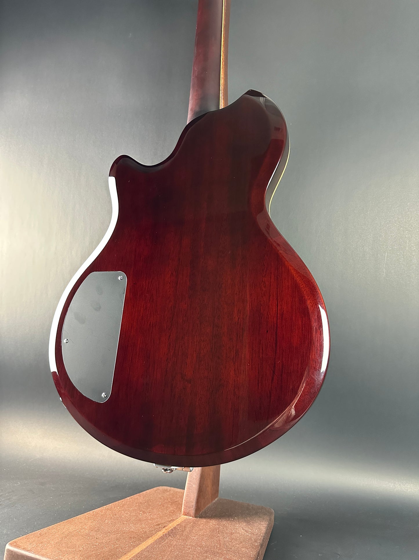 Back angle of Used Supro Conquistador Green.