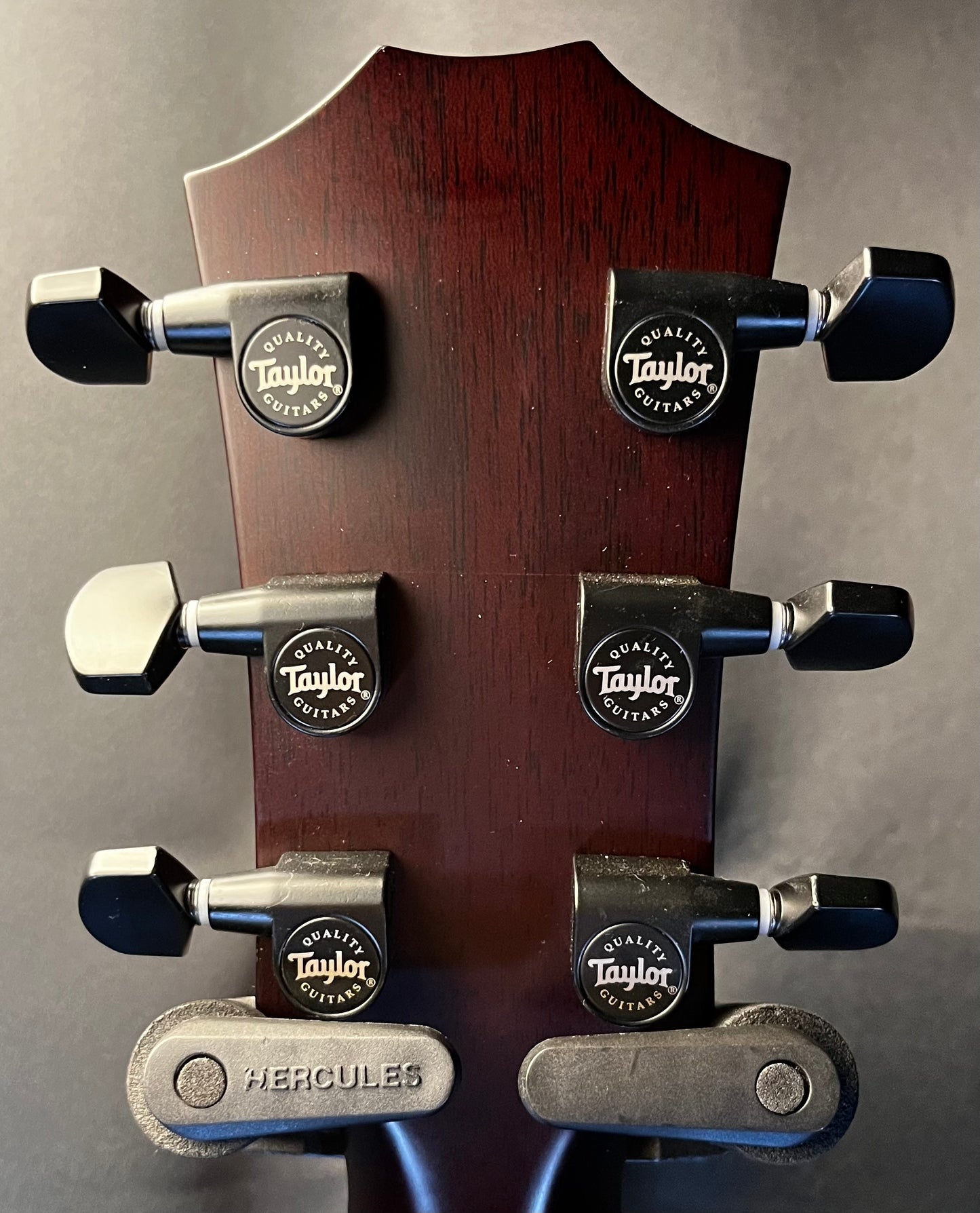 Back of headstock Used Taylor T5Z Classic Sassafras w/case TFW398