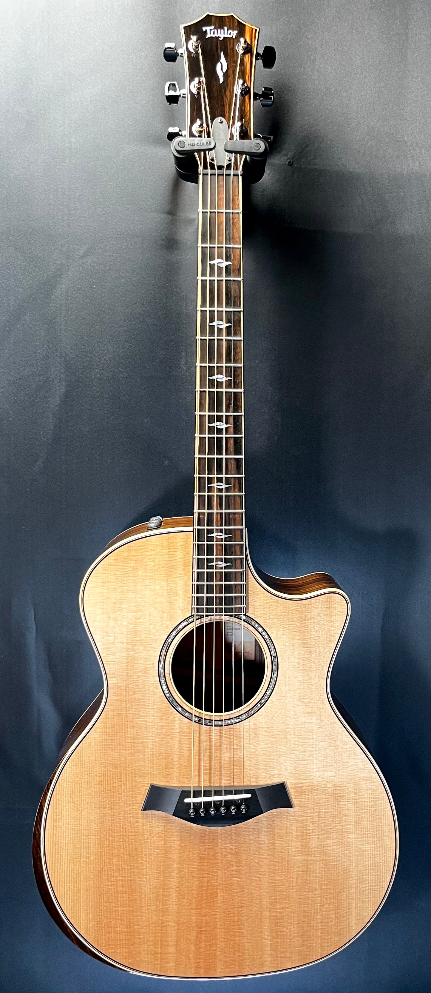 Full Front of Used 2022 Taylor 814CE w/case TFW400