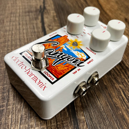 Side of Used EHX Electro-Harmonix Grand Canyon Delay & Looper TFW444