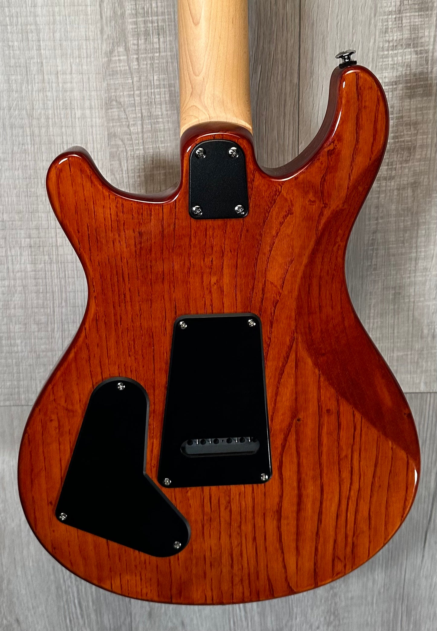 Back of Used PRS SE Special Swamp Ash w/bag TSS3811