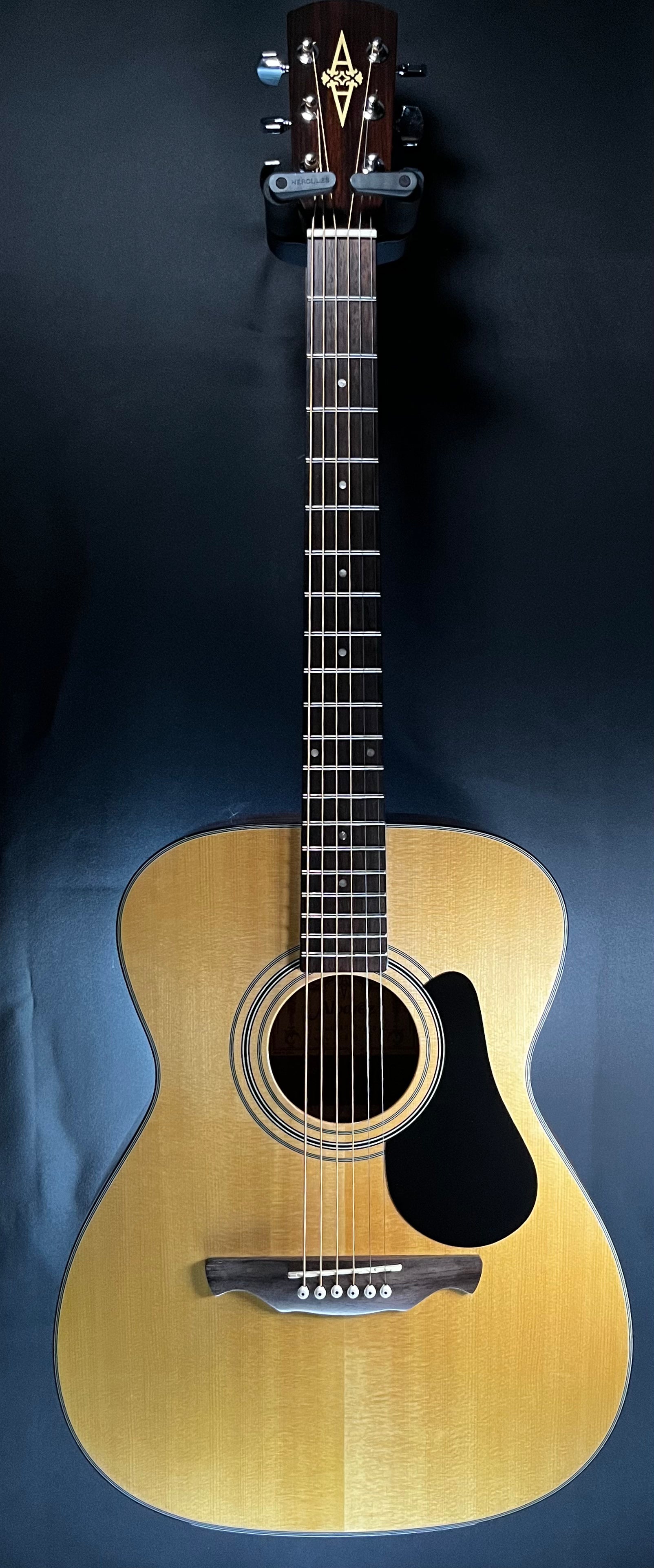 Full front of Used Alvarez RF8 Acoustic w/case TFW547