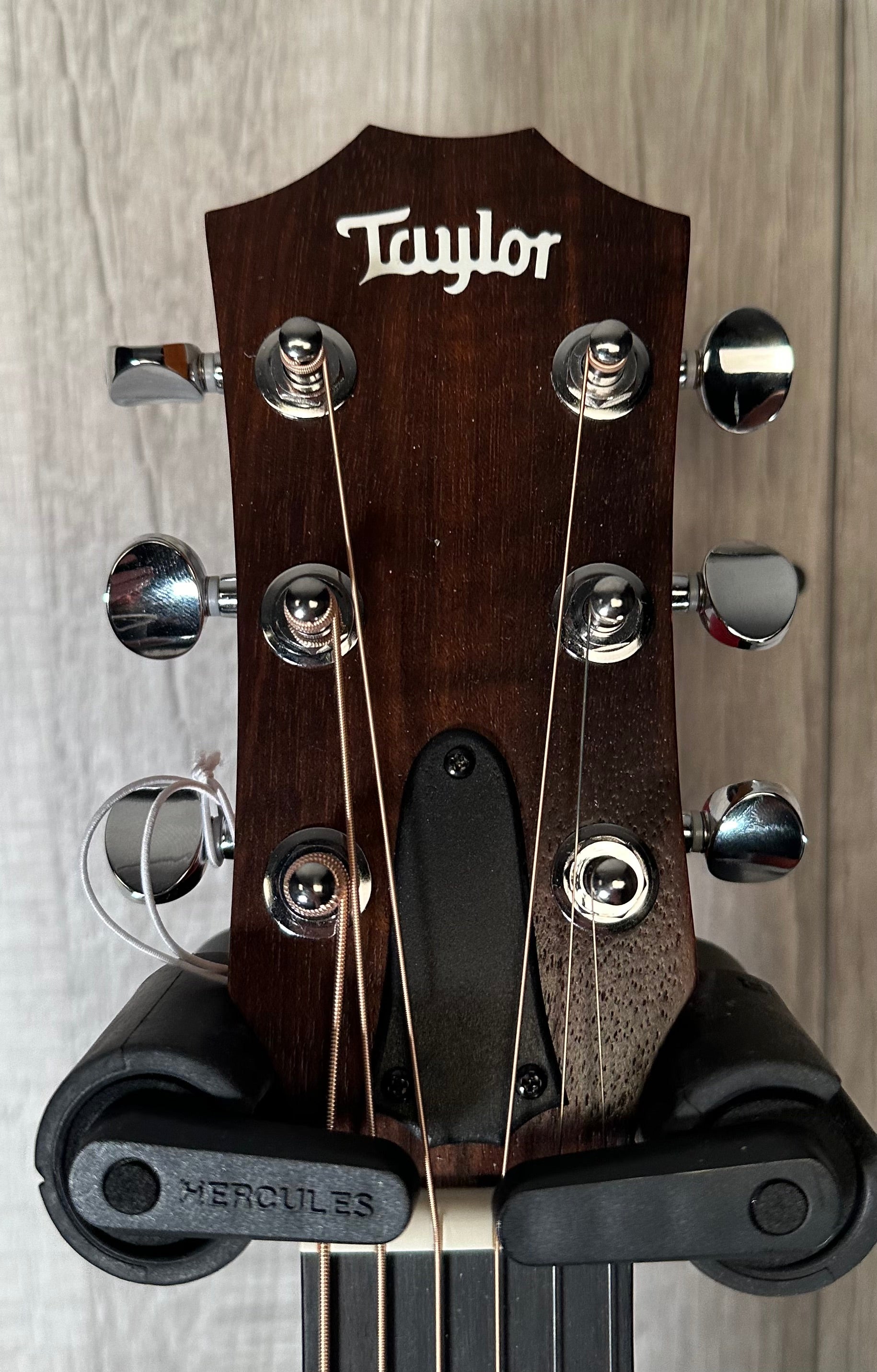 Headstock of Used Taylor GS Mini Mahogany w/bag TSS3850