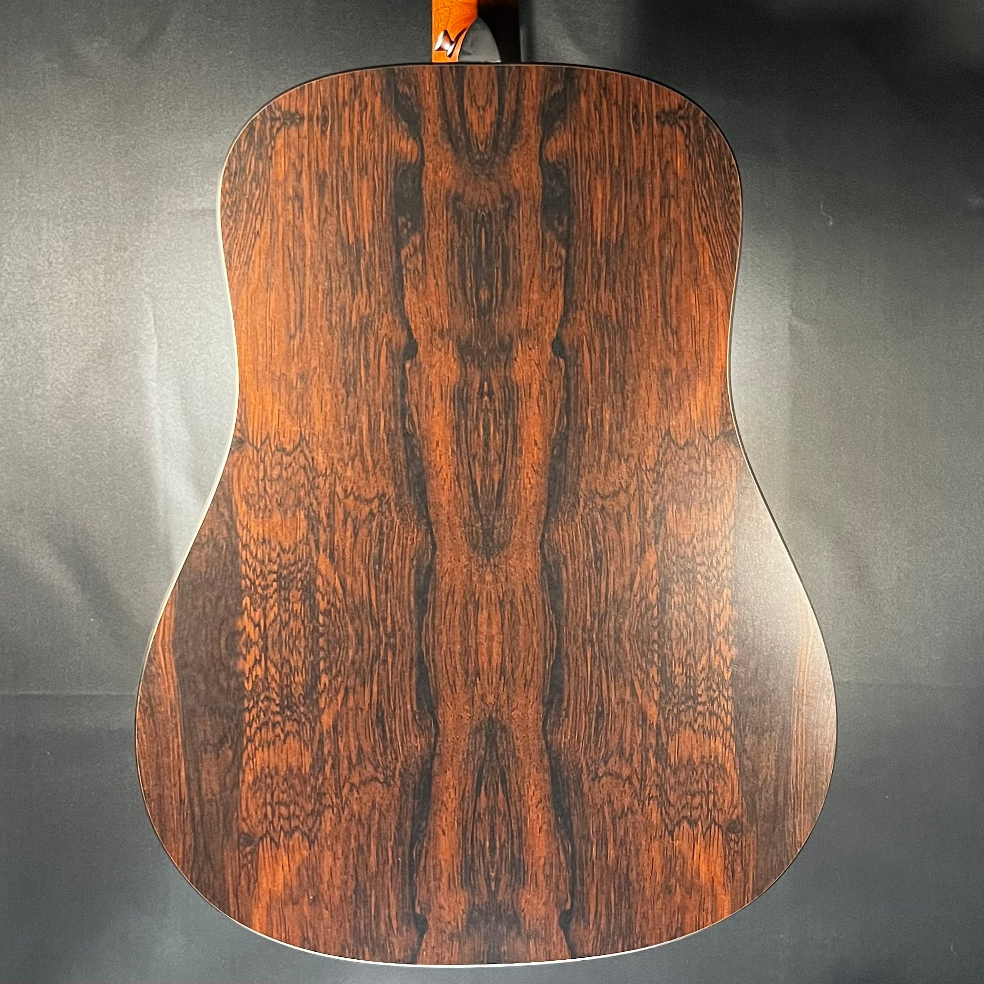 Back of Used Martin D-X2E Dreadnought Brazilian Rosewood Pattern w/bag TFW612