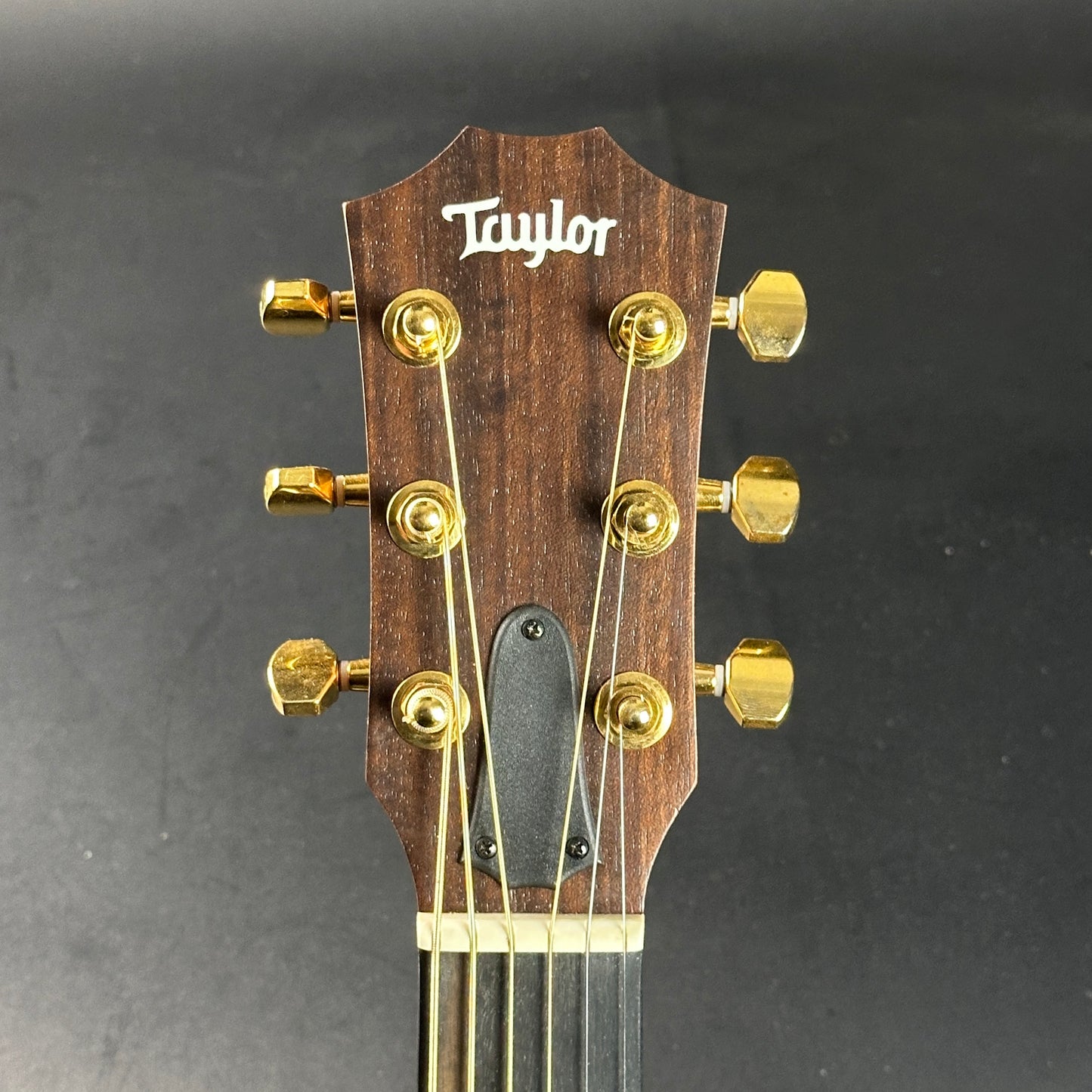 Headstock of Used Taylor 50th Anniversary GS Mini-e Sunburst LTD.