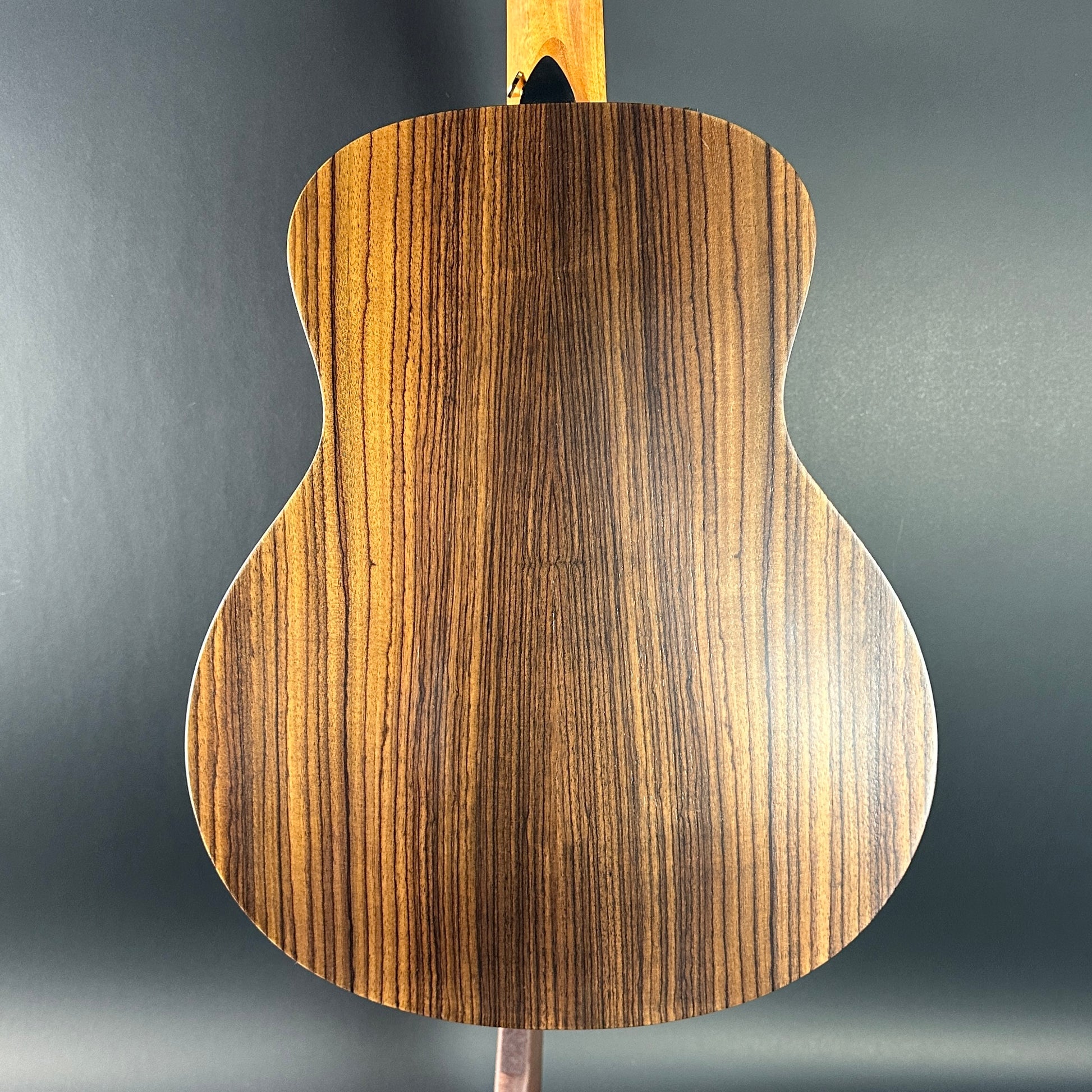 Back of Used Taylor 50th Anniversary GS Mini-e Sunburst LTD.