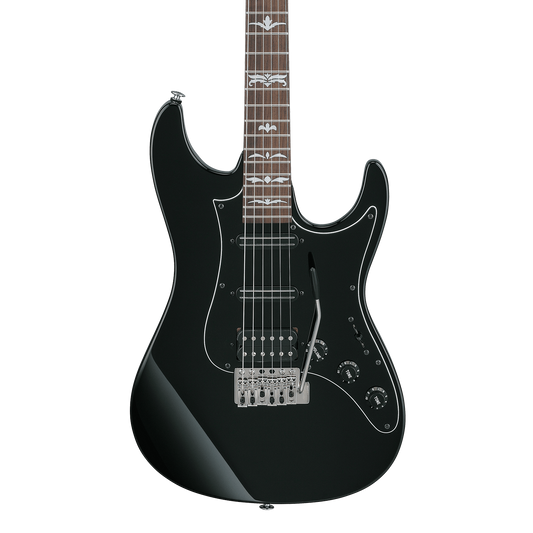 Front of Ibanez ATZ300BK Andy Simmons Signature Black.