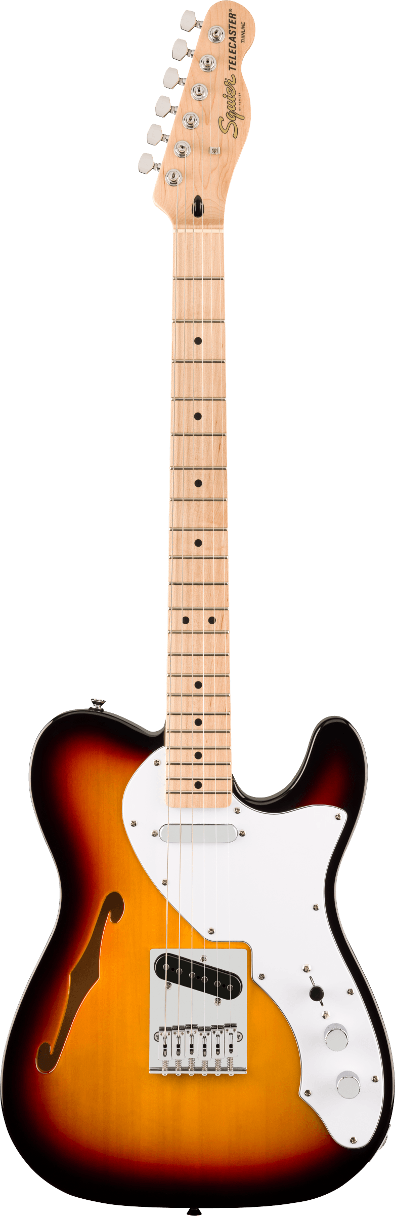 Full frontal of Squier Affinity Series Telecaster Thinline MP 3-Color Sunburst.