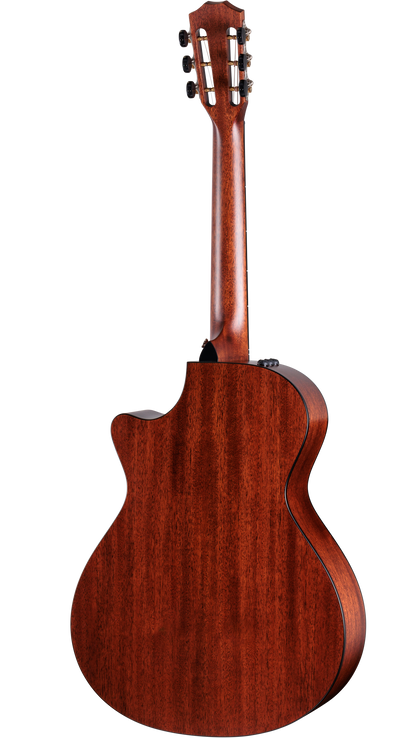 Back of Taylor 322ce 12-Fret V-class.