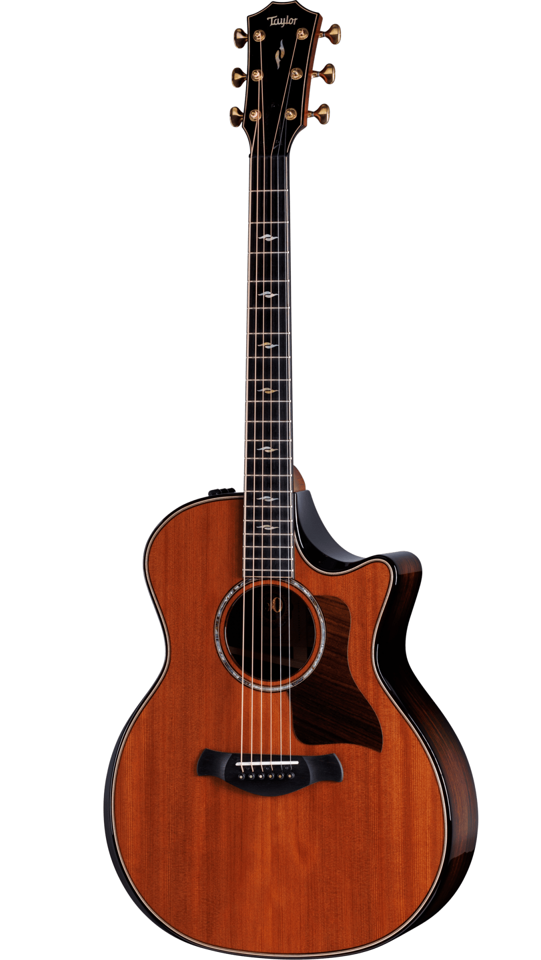 Full frontal of Taylor 50th Anniversary 814ce Builder's Edition Sinker Redwood Top.