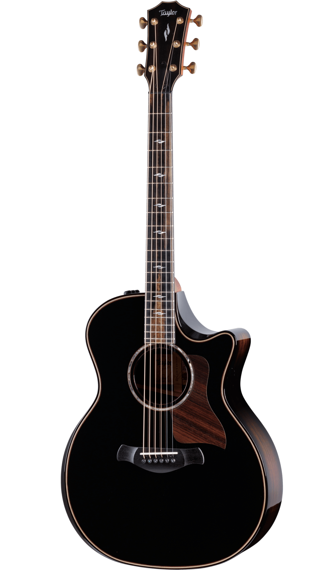 Full frontal of Taylor Builders Edition 814ce Blacktop.