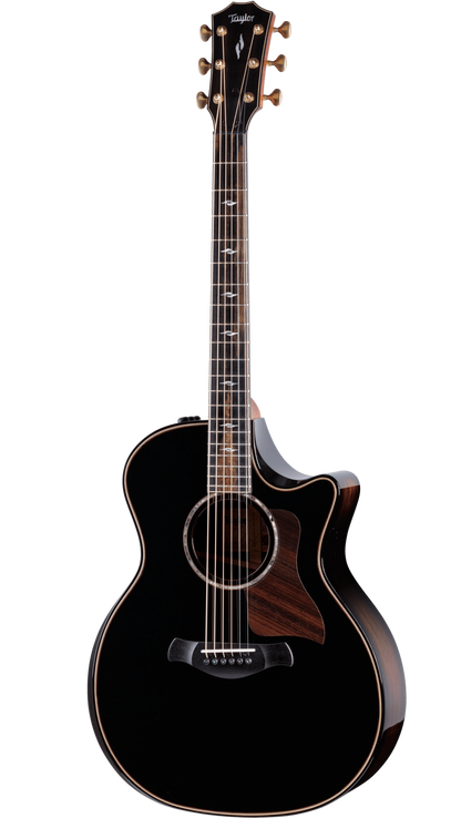 Full frontal of Taylor Builders Edition 814ce Blacktop.