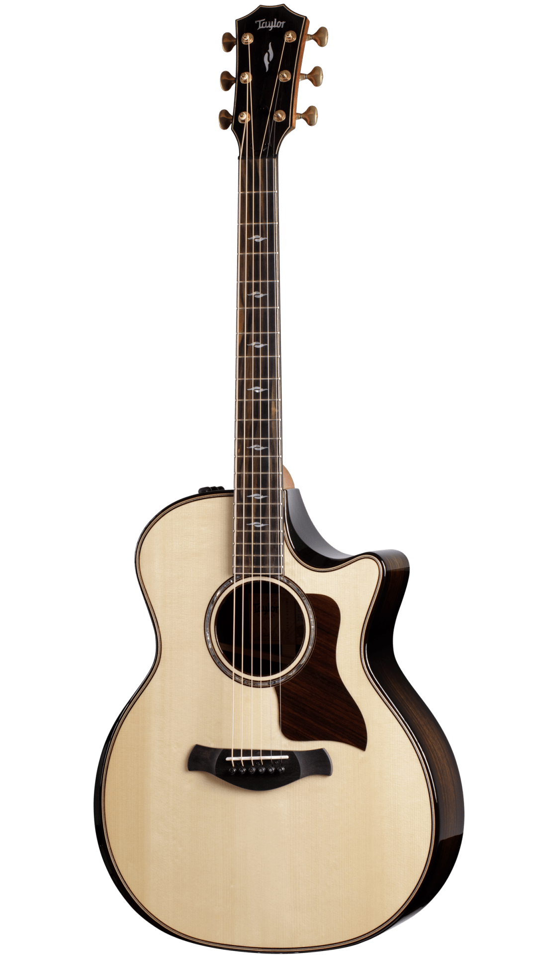 Full frontal of Taylor Builders Edition 814ce.