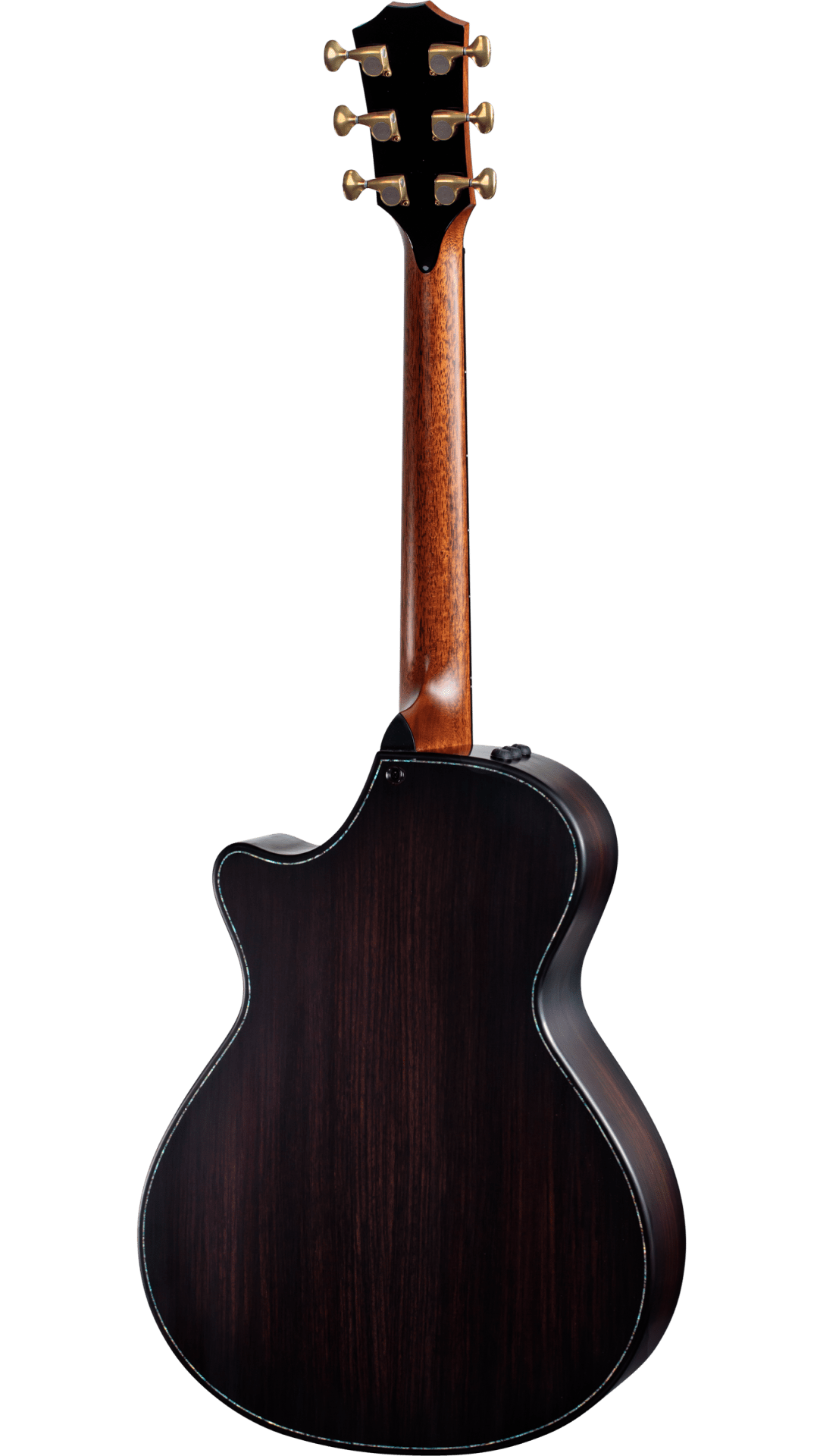 Back of Taylor Builders Edition 912ce WHB V-Class Bracing Wild Honey Burst.