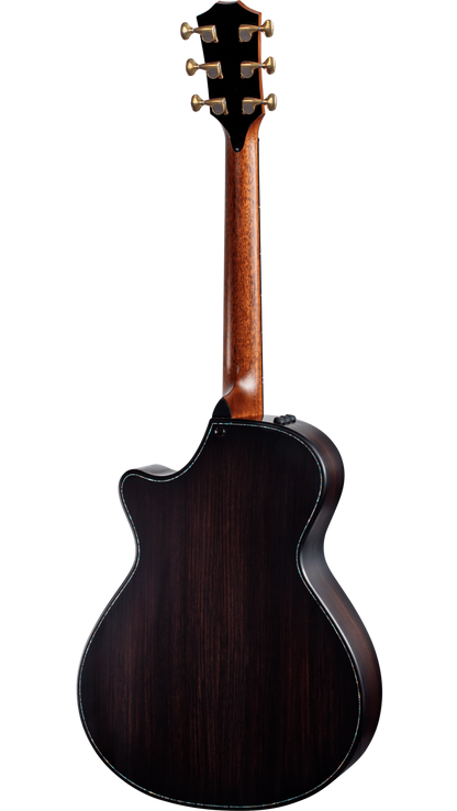 Back of Taylor Builders Edition 912ce WHB V-Class Bracing Wild Honey Burst.