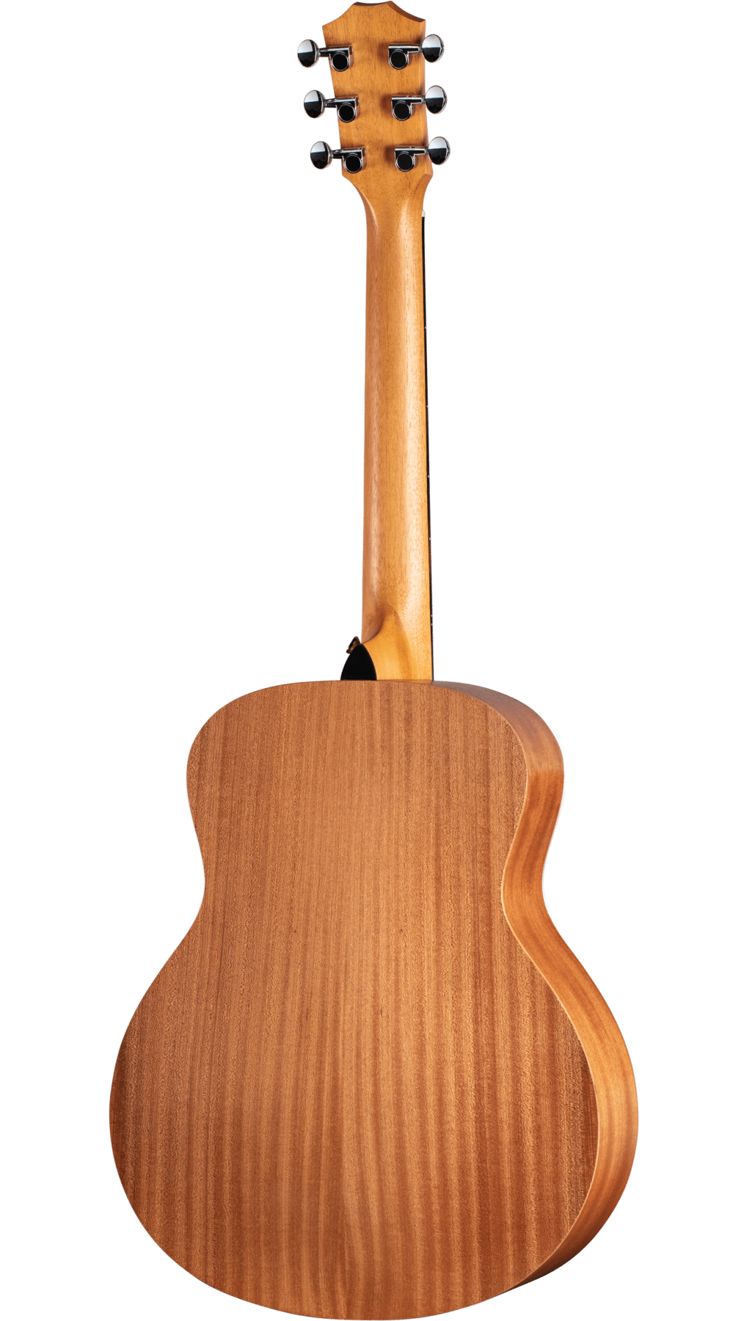 Back of Taylor GS Mini Mahogany.