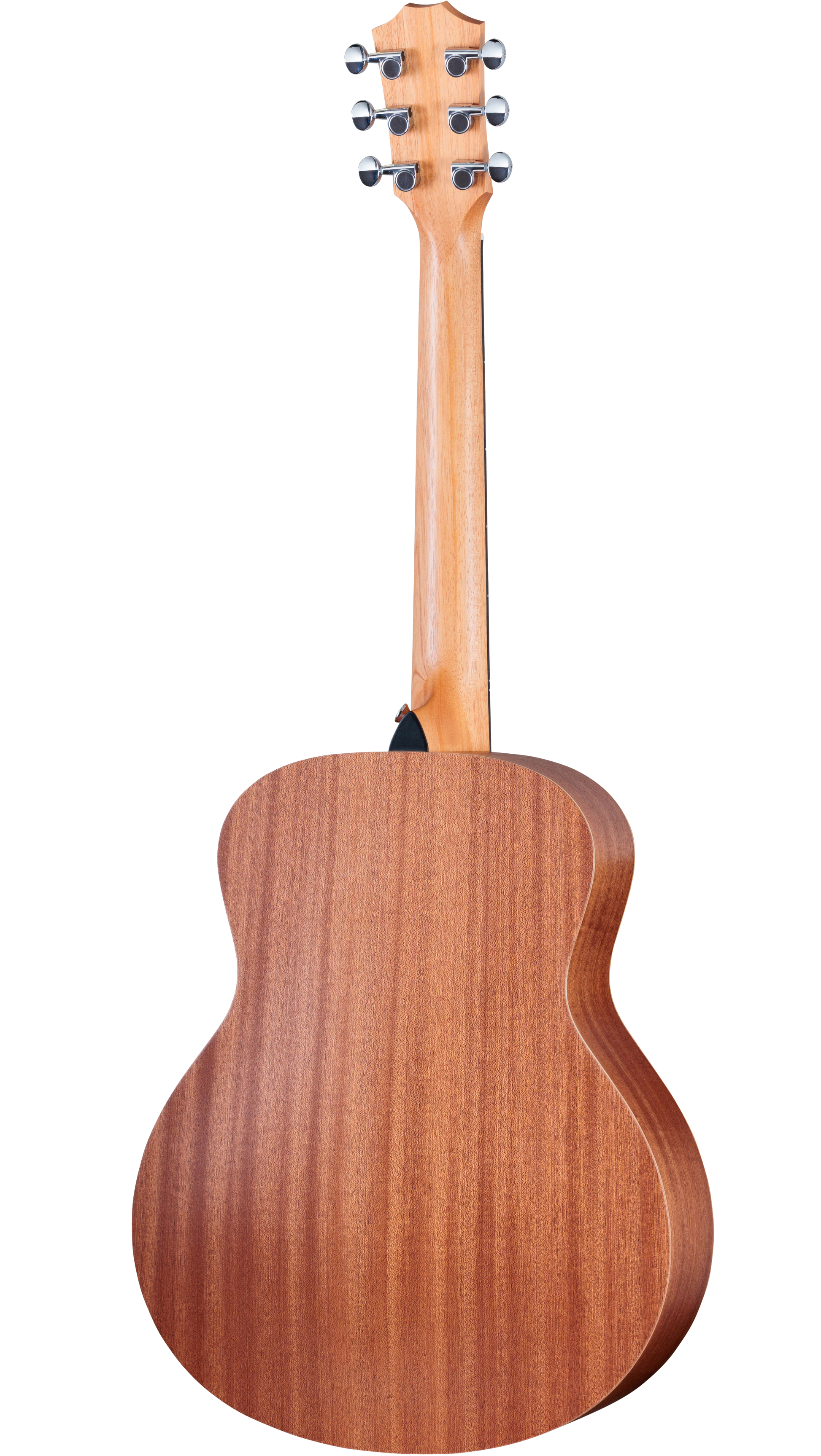 Back of Taylor GS Mini Sapele.