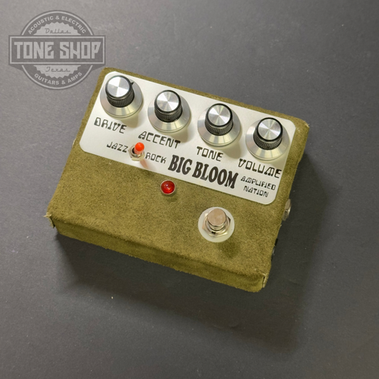 Top of Used Amplified Nation Big Bloom Green Suede.