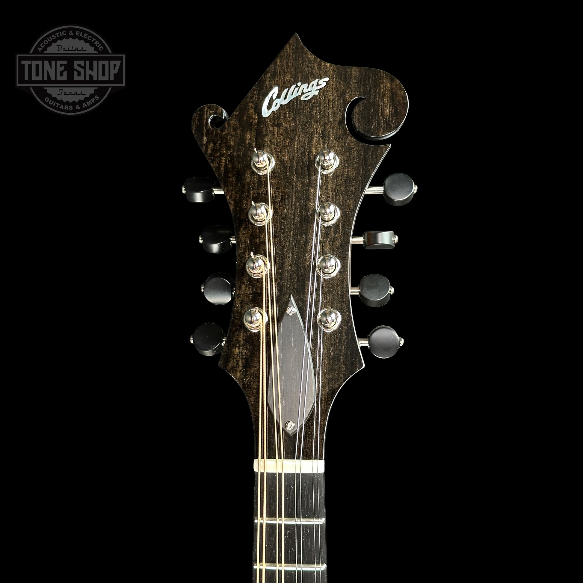 Front of headstock of Collings MF Mandolin Gloss Top Sunburst.