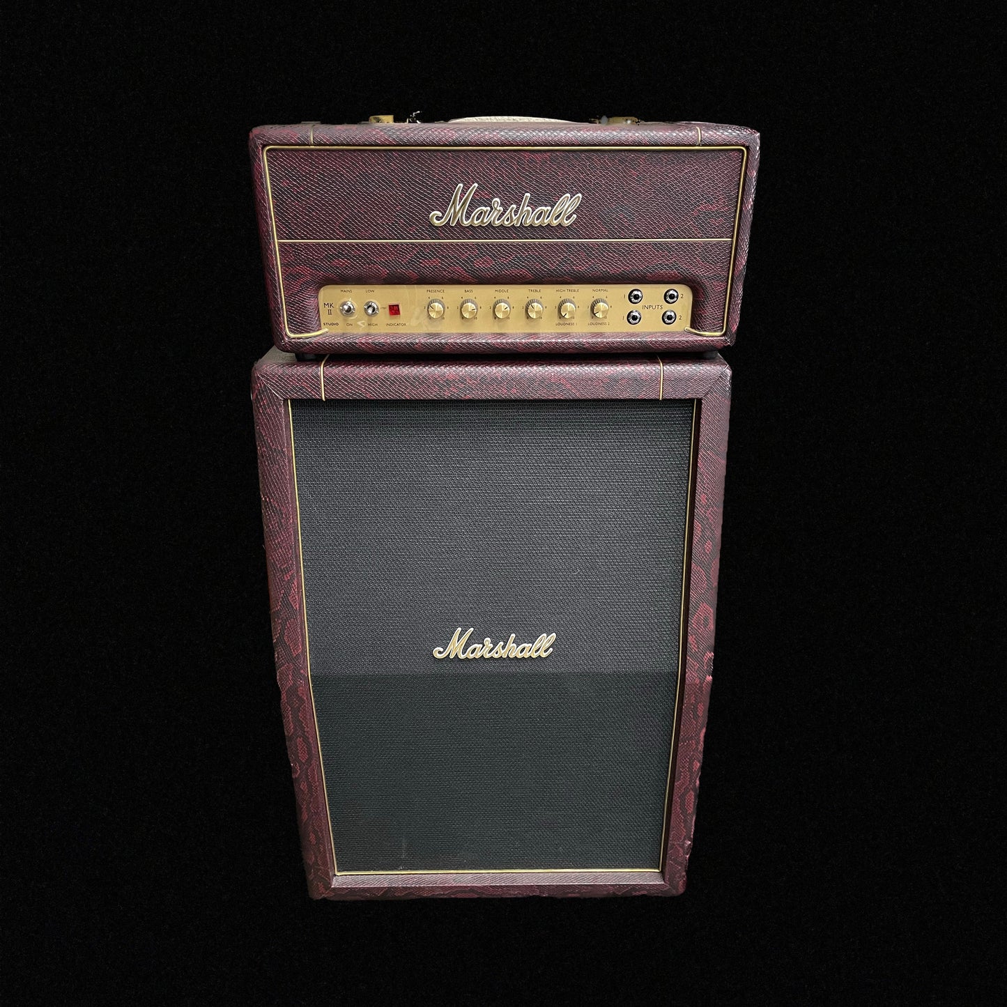 Marshall SV20H 20 Watt Valve Head and 2x12 Cab Snake Skin