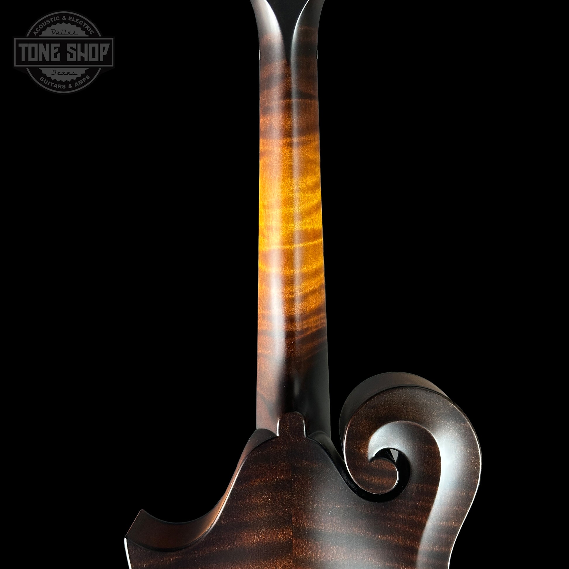 Back of neck of Collings MF Mandolin Sunburst.