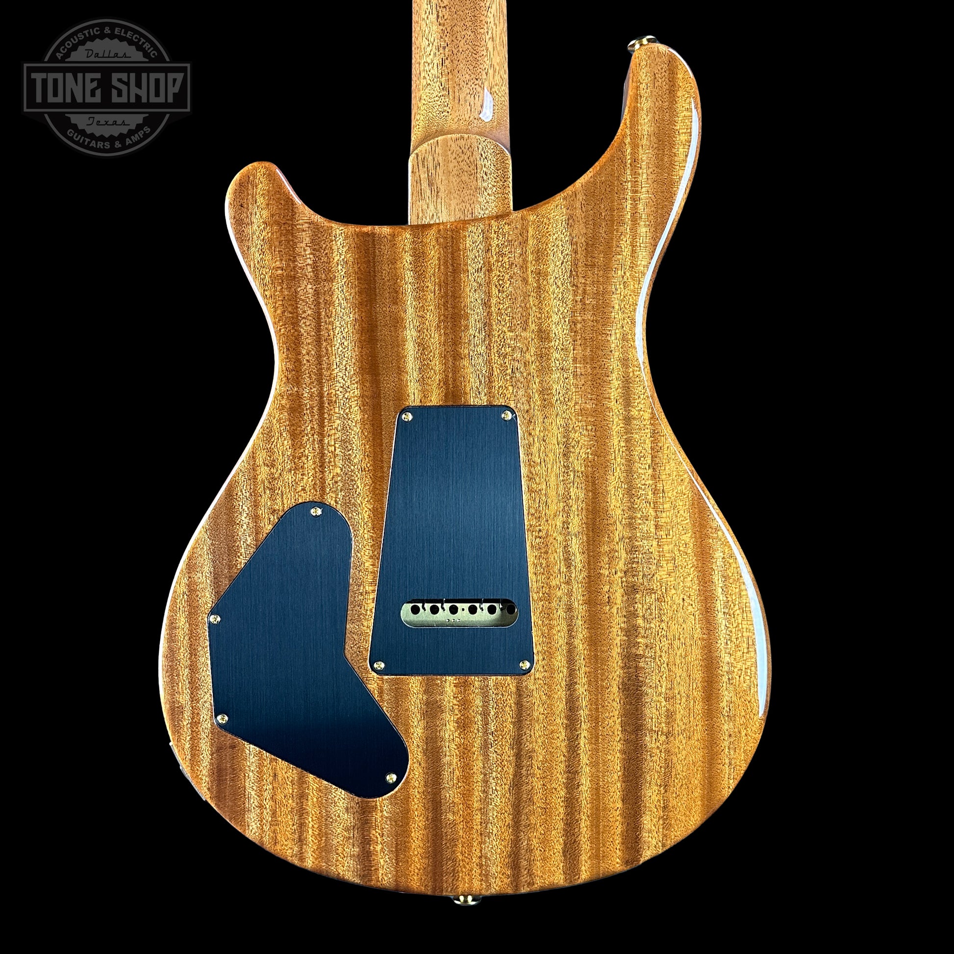 Back of PRS TSG Anniversary Wood Library Artist DGT Frostbite Smokeburst Brazilian Rosewood.