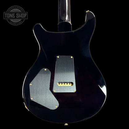 Back of PRS DGT Black Gold Wraparound Burst 10 Top Birds.