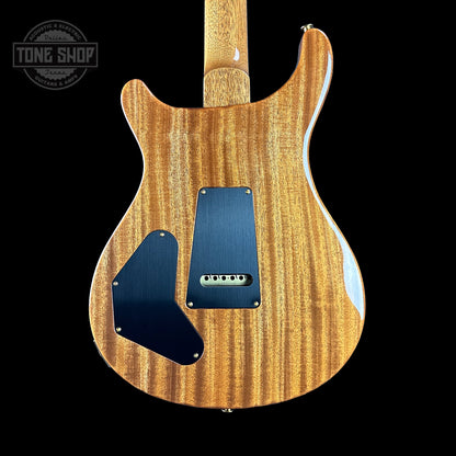 Back of PRS TSG Anniversary Wood Library Artist DGT Frostbite Brazilian Rosewood.