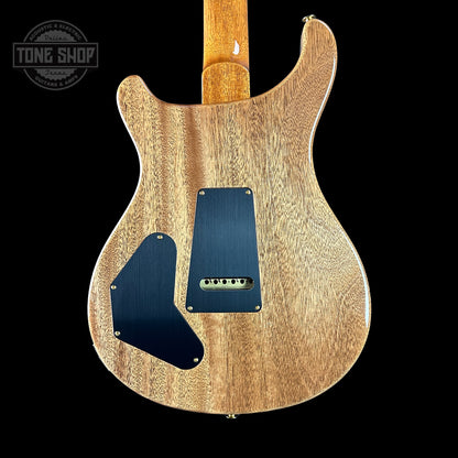 Back of PRS TSG Anniversary Wood Library Artist DGT Gold Storm Fade Brazilian Rosewood.