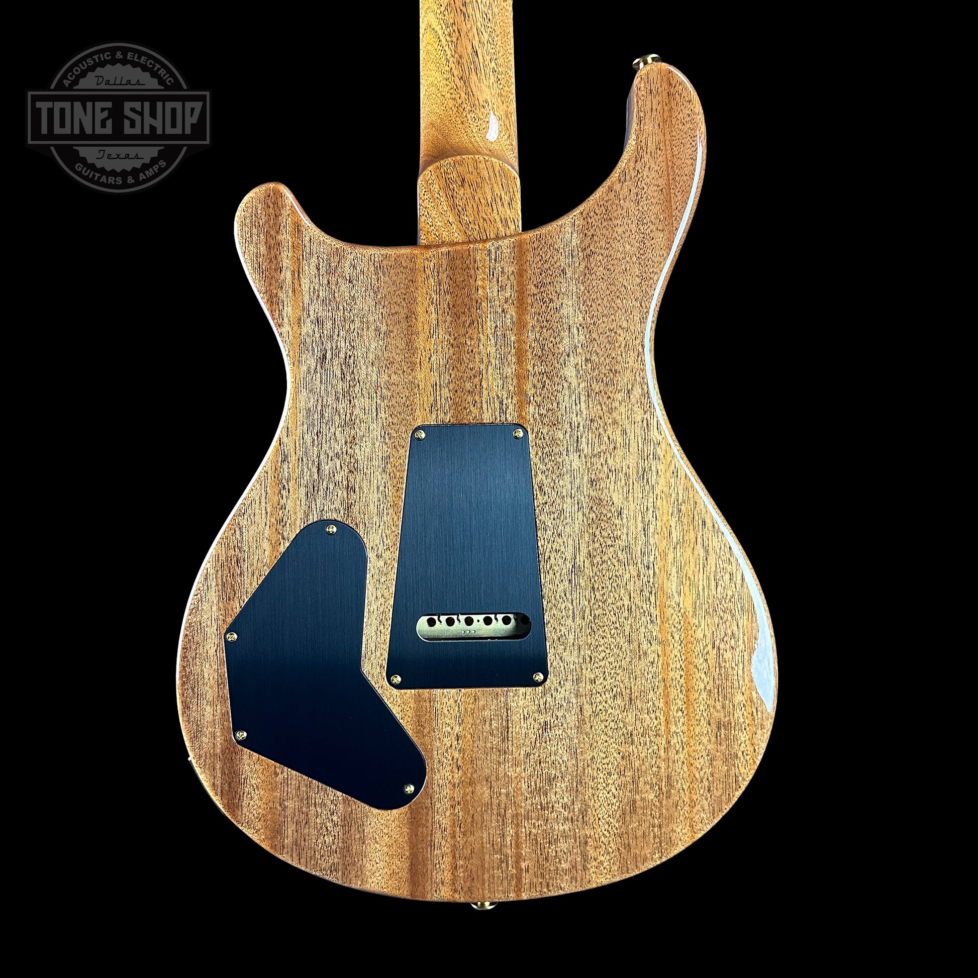 Back of PRS TSG Anniversary Wood Library Artist DGT Frostbite Brazilian Rosewood.