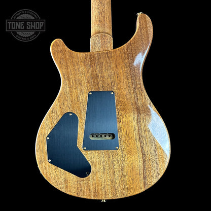 Back of PRS TSG Anniversary Wood Library Artist DGT Frostbite Brazilian Rosewood.