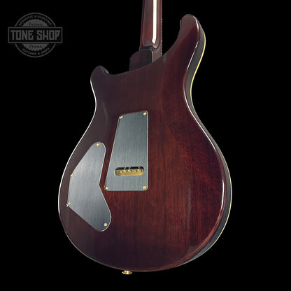 Back angle of PRS DGT McCarty Tobacco Sunburst 10 Top Birds.