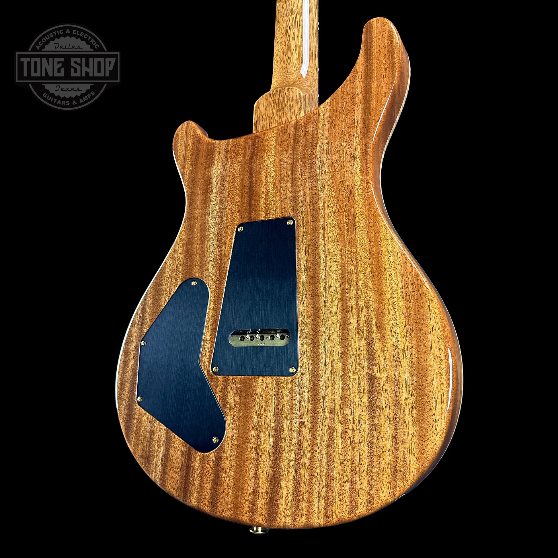 Back angle of PRS TSG Anniversary Wood Library Artist DGT Frostbite Brazilian Rosewood.