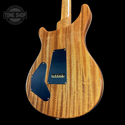 Back angle of PRS TSG Anniversary Wood Library Artist DGT Frostbite Brazilian Rosewood.