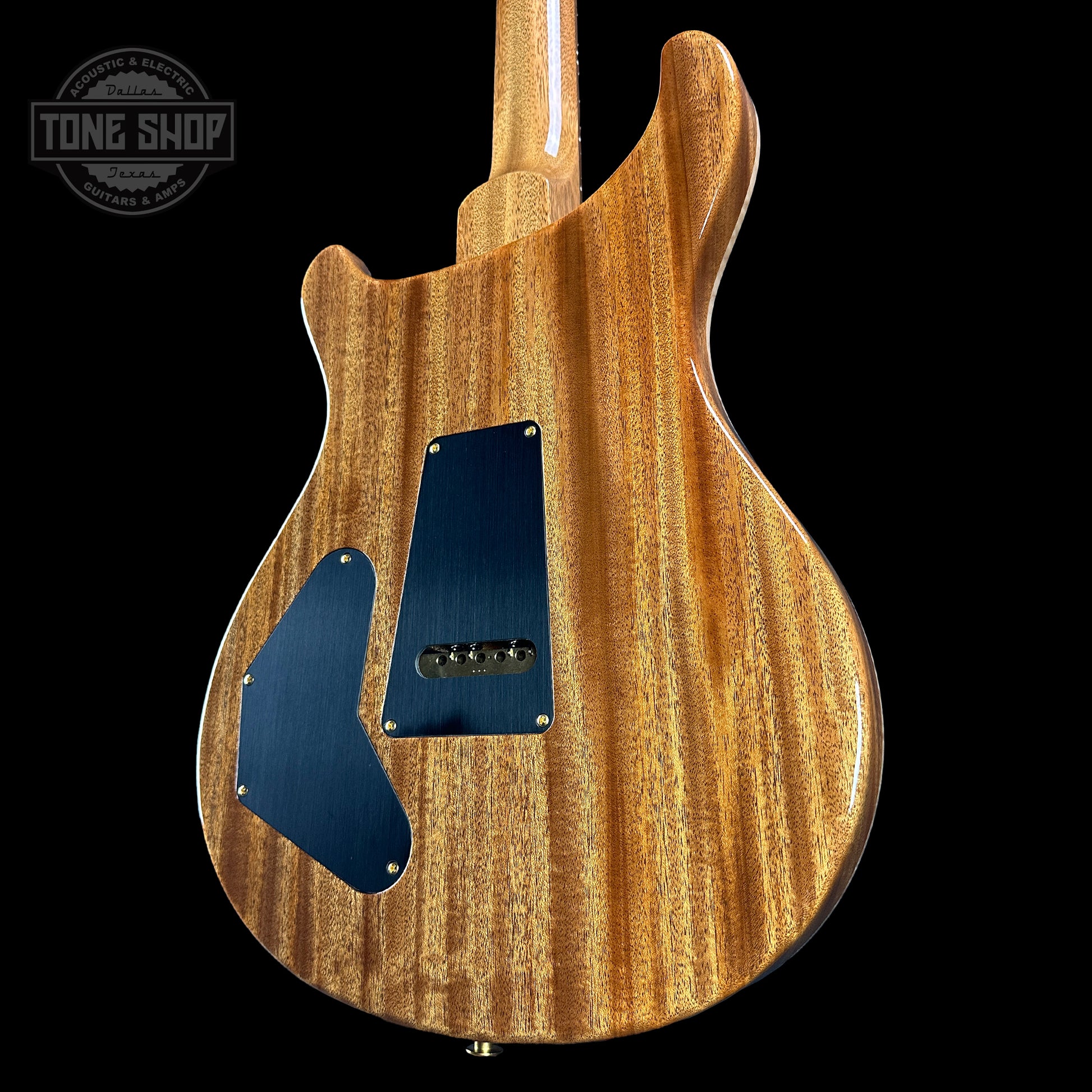 Back angle of PRS TSG Anniversary Wood Library Artist DGT Frostbite Brazilian Rosewood.