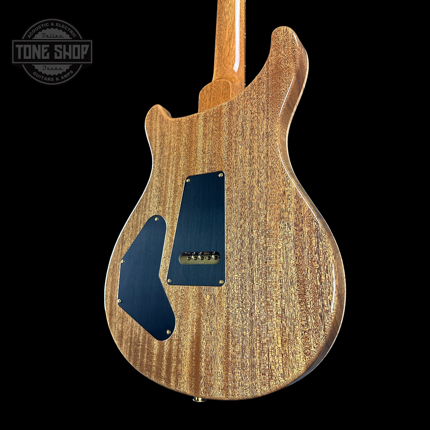 Back angle of PRS TSG Anniversary Wood Library Artist DGT Frostbite Brazilian Rosewood.