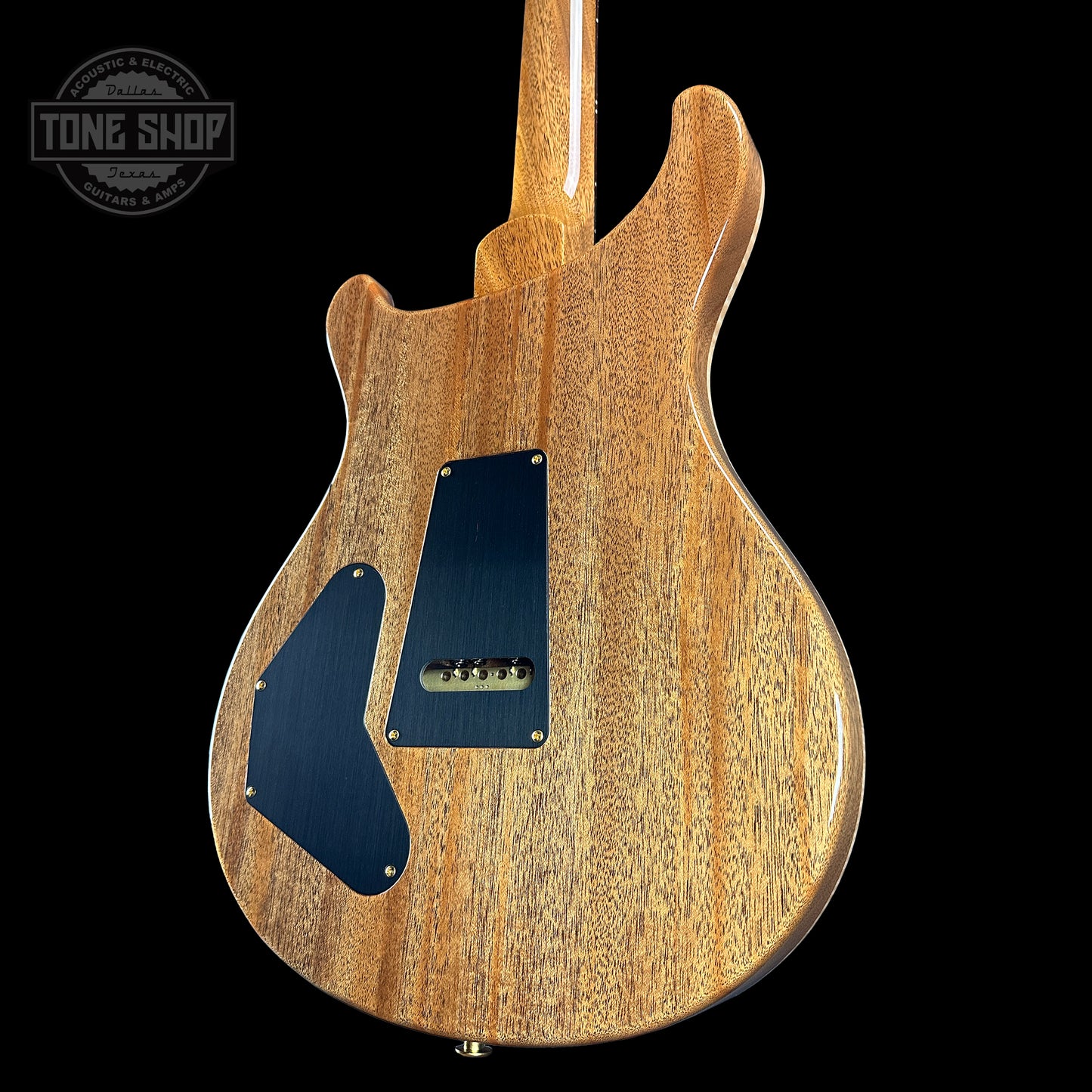 Back angle of PRS TSG Anniversary Wood Library Artist DGT Frostbite Brazilian Rosewood.