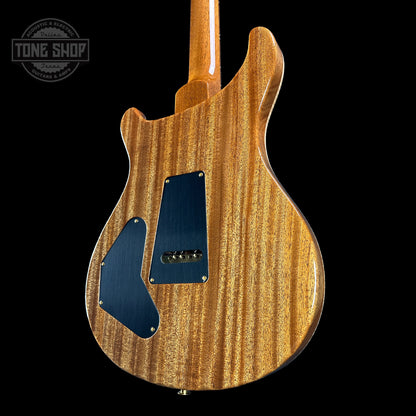 Back angle of PRS TSG Anniversary Wood Library Artist DGT Frostbite Brazilian Rosewood.