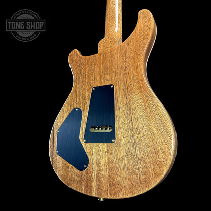 Back angle of PRS TSG Anniversary Wood Library Artist DGT Frostbite Brazilian Rosewood.